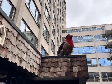 런던 야경이 한눈에, 특별한 날을 위한 피츠로비아 맛집 서사