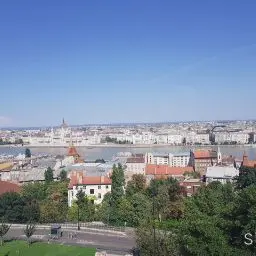 다뉴브 강변의 숨겨진 보석, 부다페스트 일식 맛집 “후지”에서 만나는 특별한 미식 경험