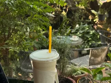 주유소 옆 오아시스, 치앙마이 숨은 보석 카페에서 만나는 인생 커피 맛집