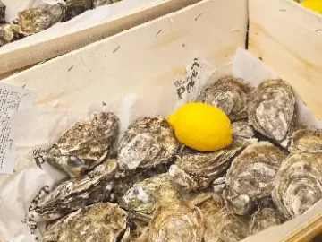 파리 미식의 정수, 레지스에서 맛보는 특별한 굴 미식 투어