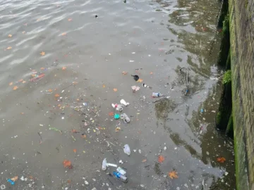 템스 강변의 숨겨진 보석, 런던 해변 맛집 기행