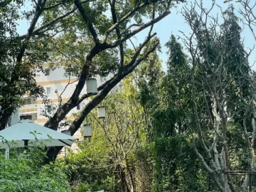 치앙마이 미식의 정점, 인터컨티넨탈에서 만나는 특별한 태국 지역 맛집