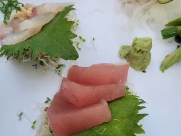 키웨스트의 숨겨진 보석, 도요스 스시에서 맛보는 특별한 일본의 맛